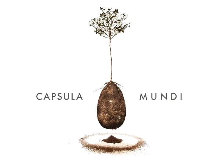 Capsula mundi