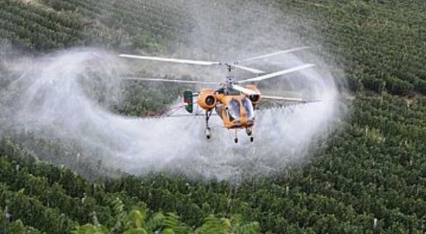 Elicottero che irrora di pesticidi dei vigneti in Veneto