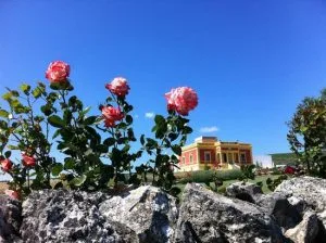 Fiori rossi con sullo sfondo villino odaldo