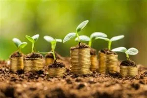 Soldi da cui nascono piante per indicare la finanza green