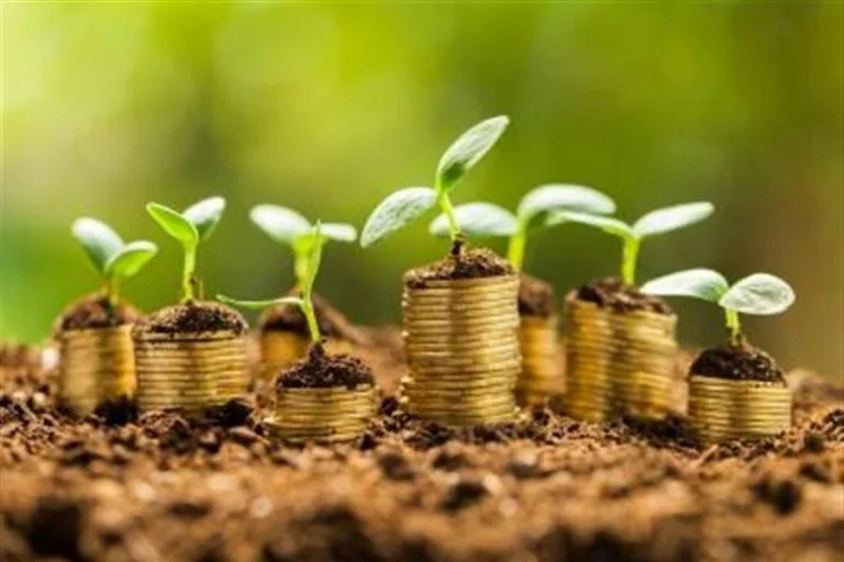 Soldi da cui nascono piante per indicare la finanza green