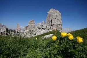 Parco Naturale delle Dolomiti Bellunesi con montagne e foreste