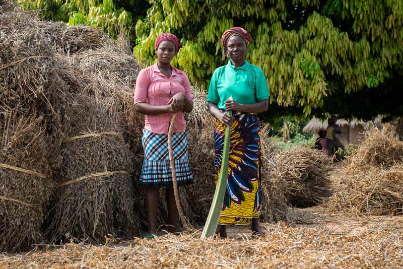 Due donne nigeriane che lavorano nell'agricoltura senza elettricità