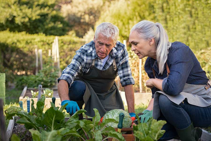 Due persone anziane che curano un campo agricolo in ottica di economia circolare in Spagna