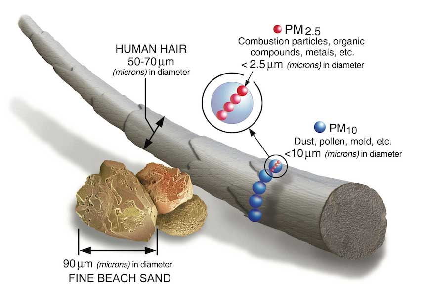 figura di spiegazione della grandezza dell'inquinamento dell'aria Pm 2.5 rispetto alla grandezza della polvere e del capello