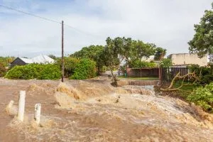 transizione ecologica in Africa dovuta al cambiamento climatico
