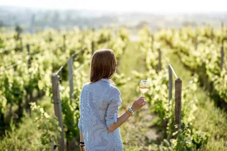 cambiamento climatico nel vino e nel vitigno